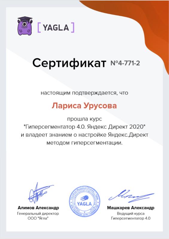 Компетенция "Гиперсегментатор 4.0. Яндекс.Директ 2020" Ягла, Лариса