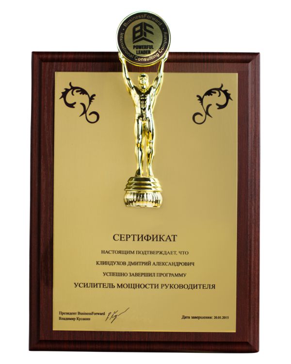 Сертификат "Усилитель мощности руководителя" BusinessForward, Дмитрий